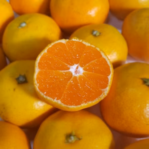 ワックス不使用　極早生みかん　約３㌔