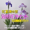 【父の日ギフト】花菖蒲の苗(厳選５品種5ポット)メッセージカード付
