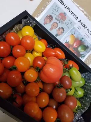 みんなの投稿の画像