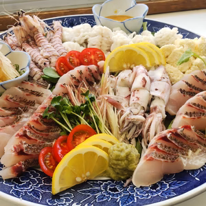 漁師直送朝どれお魚ボックス３種　2.5㌔以上
