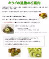 国産 キウイ フルーツ 贈答用 12個入 ヘイワード種 （グリーンキウイ） 