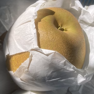 甘太梨　ご家庭用の梨　10玉～16玉　5キロ箱