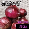 【農薬・除草剤不使用】食卓の彩り抜群！赤玉ねぎ　約5kg