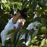 野村嘉弥 | 野村ファーム