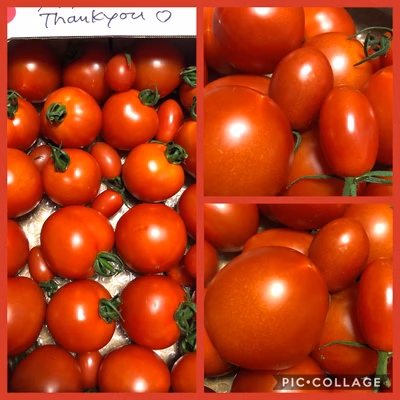 みんなの投稿の画像