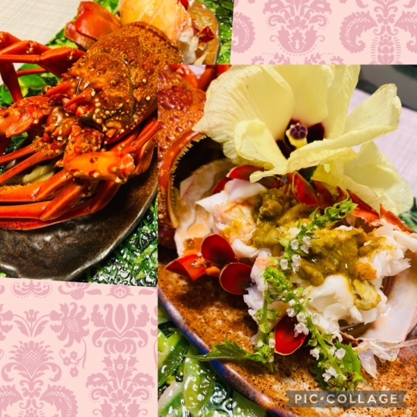 １セット限定 幻のセミエビ ９００g 農家漁師から産地直送の通販 ポケットマルシェ