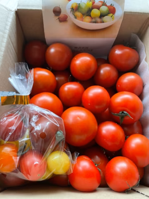 みんなの投稿の画像