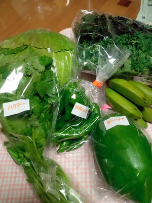 みんなの投稿の画像