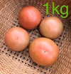 減農薬 桃太郎 トマト 約3.5kg はねだし 訳あり