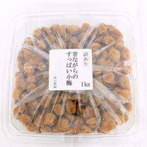 すっぱい訳あり小梅（１kg）