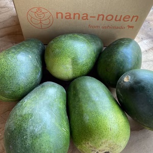 今が旬！美味しい冬瓜◎(小玉5〜6玉) 