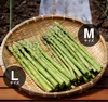 ＼シェフ御用達／ 北海道日高産アスパラ 春芽 (L・Mサイズ混合1g、2kg)