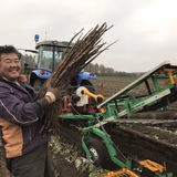 佐藤茂樹 | 佐藤農場