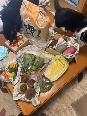 みんなの投稿の画像