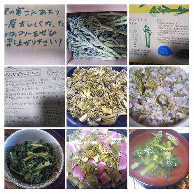 みんなの投稿の画像