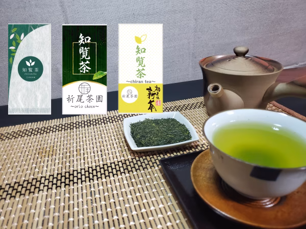 【数量限定】20％OFF 2023年摘み新茶、知覧茶、深蒸し煎茶3袋×100g