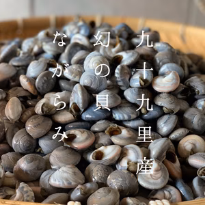 【同梱】天日干ししらすと釜茹でながらみセット