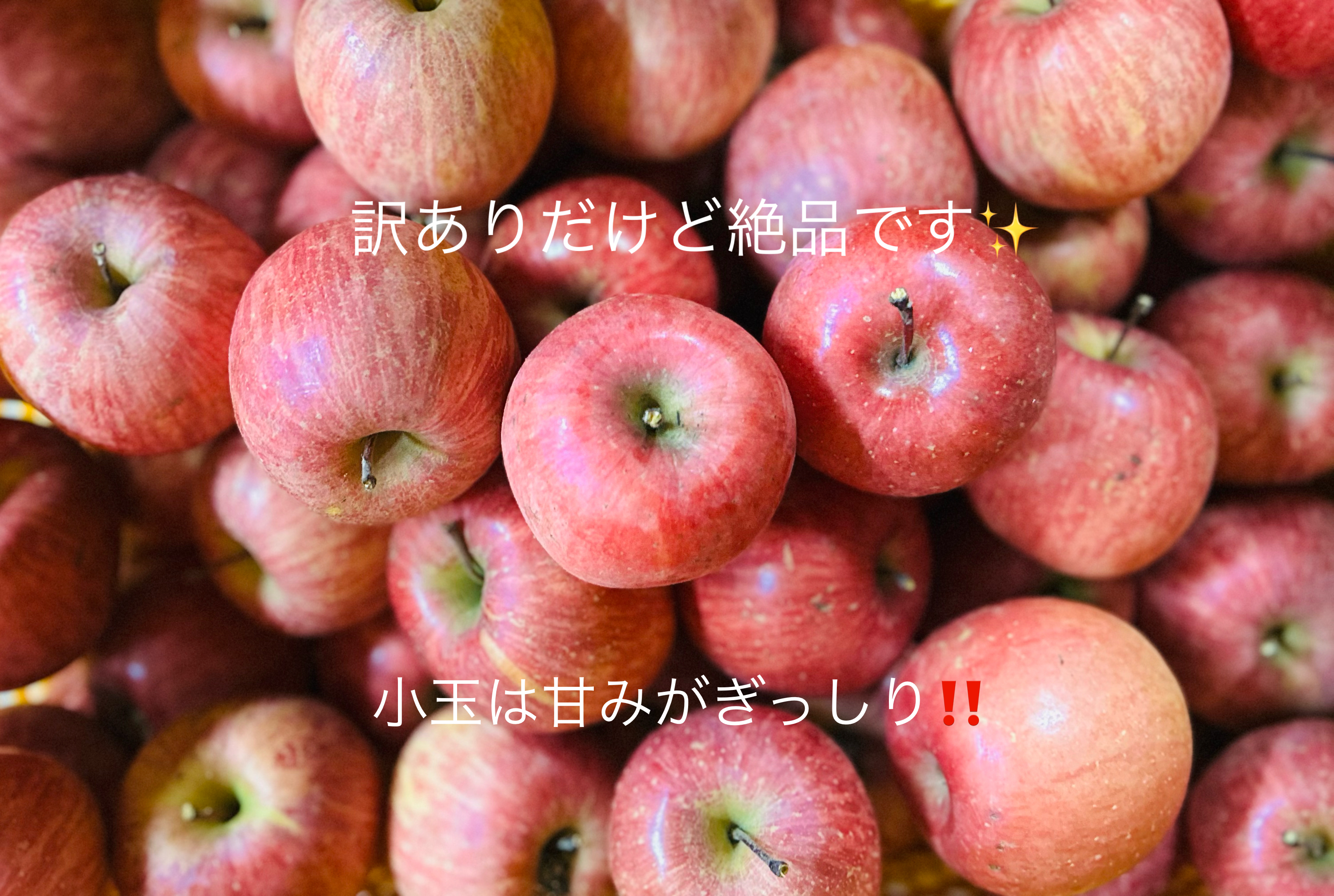甘さ濃厚‼️山形県産サンふじ【小玉訳あり5キロ満杯詰め】｜りんごの