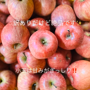甘さ濃厚‼️山形県産サンふじ【小玉訳あり5キロ満杯詰め】