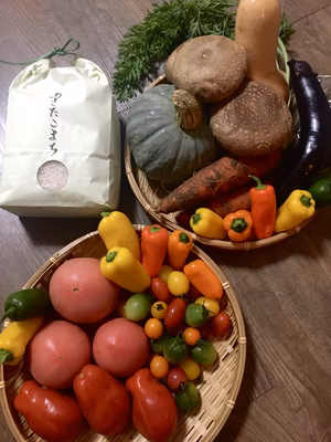 みんなの投稿の画像