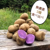 【限定販売】珍しい！じゃがいも3種3キロ食べ比べセット！に『かぼちゃ1玉』入り！
