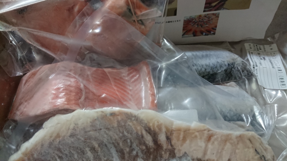 今だけ増量 産地の鮮度をそのままに 刺身で食べる春ニシン 刺身用 急速冷凍 農家漁師から産地直送の通販 ポケットマルシェ