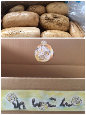 みんなの投稿の画像