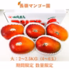 【送料無料】沖縄県産　完熟マンゴー　アップルマンゴー
