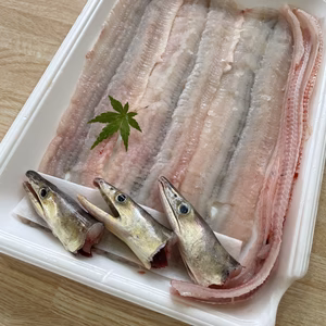 ⭐︎今が旬　大阪産⭐︎ 絶品ハモちり　小サイズ　3本セット送料込み