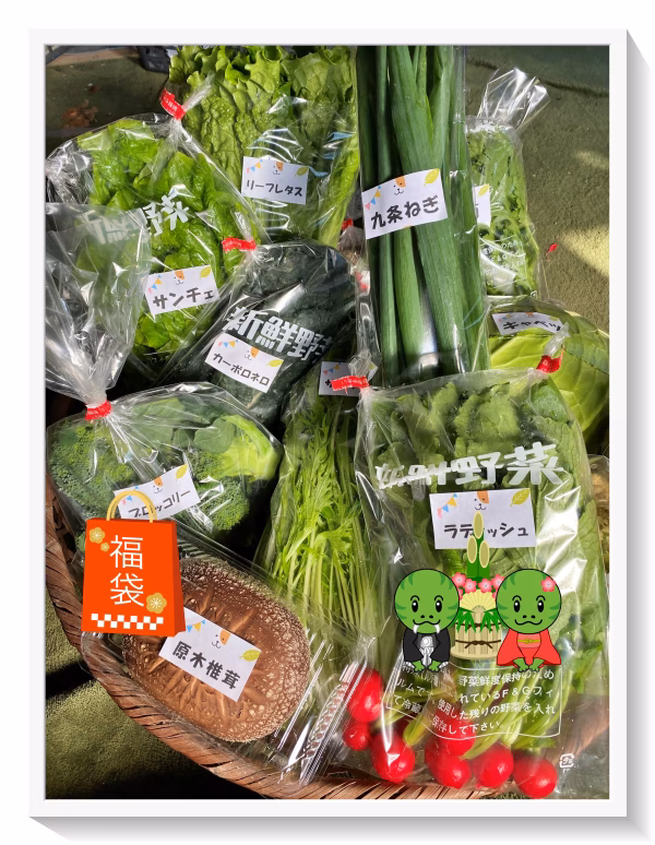 【2025福袋☆初売】福いっぱい！お得いっぱい！新春詰め合せ箱☆＋和歌山産果物付