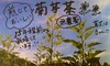 煎じる！菊芋茶（キクイモ茶）【農薬・化学肥料不使用】
