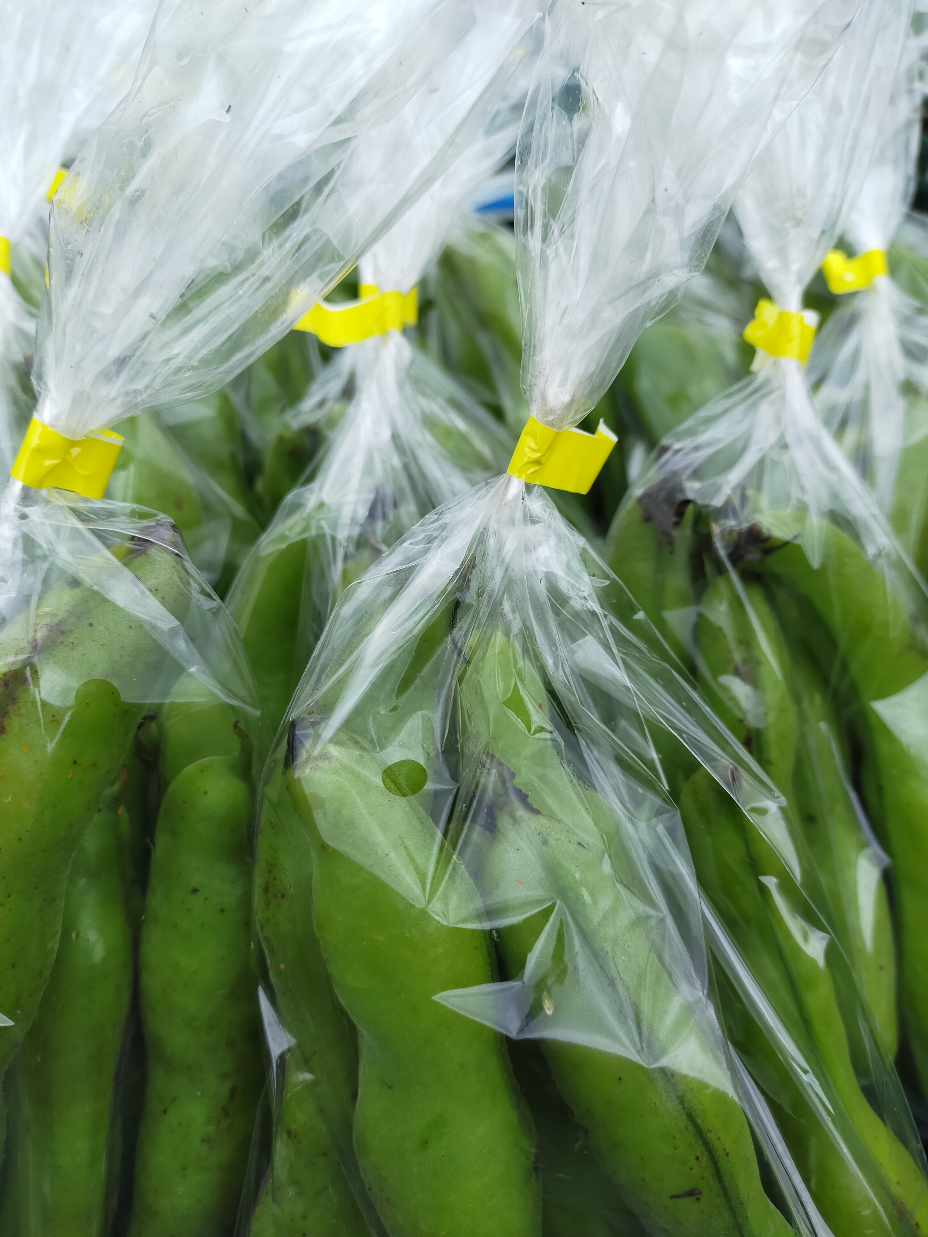 朝どれ新鮮そら豆 10kg｜そら豆の商品詳細｜ポケットマルシェ