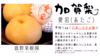 【冬梨食べ比べセット】石川県産「加賀梨」新興、愛宕