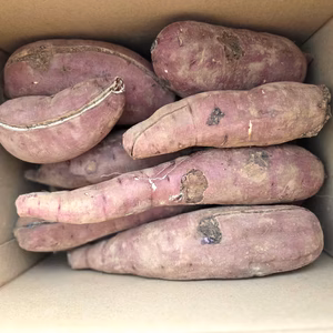 【訳あり品】べにはるか　5kg～　さつまいも　貯蔵期間３カ月　熟成　規格外