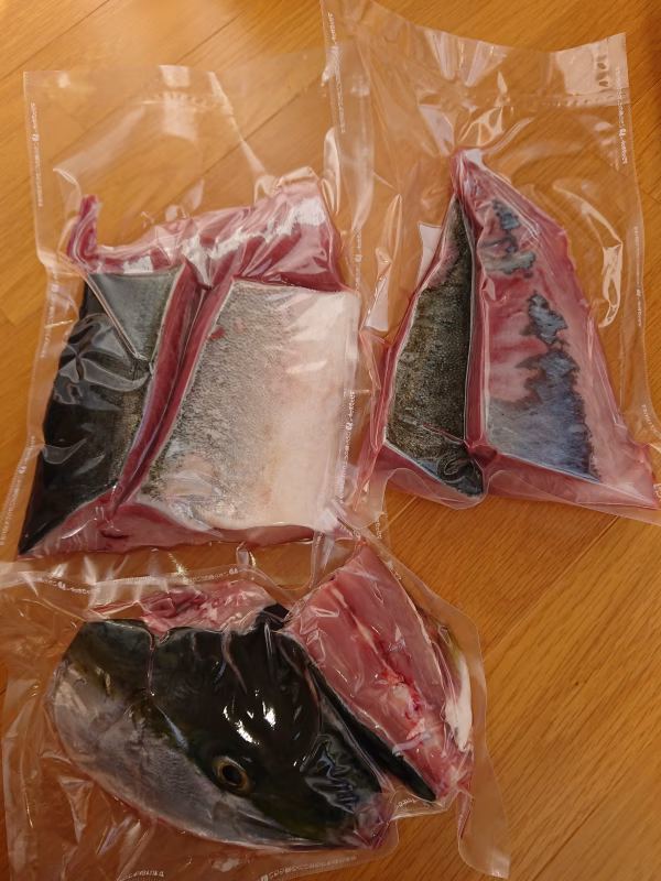  ●カマサービス中　冷凍一本釣りブリ【相島産】捌いて真空冷凍でお届け