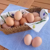 【チルド便】会津地鶏の卵（デッケーノ）