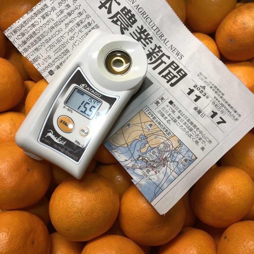 【高糖度】早生みかん【出品２年目の情熱価格】