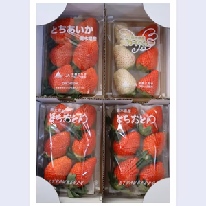 とちぎの完熟いちご４種類食べ比べセット！白いちご入り