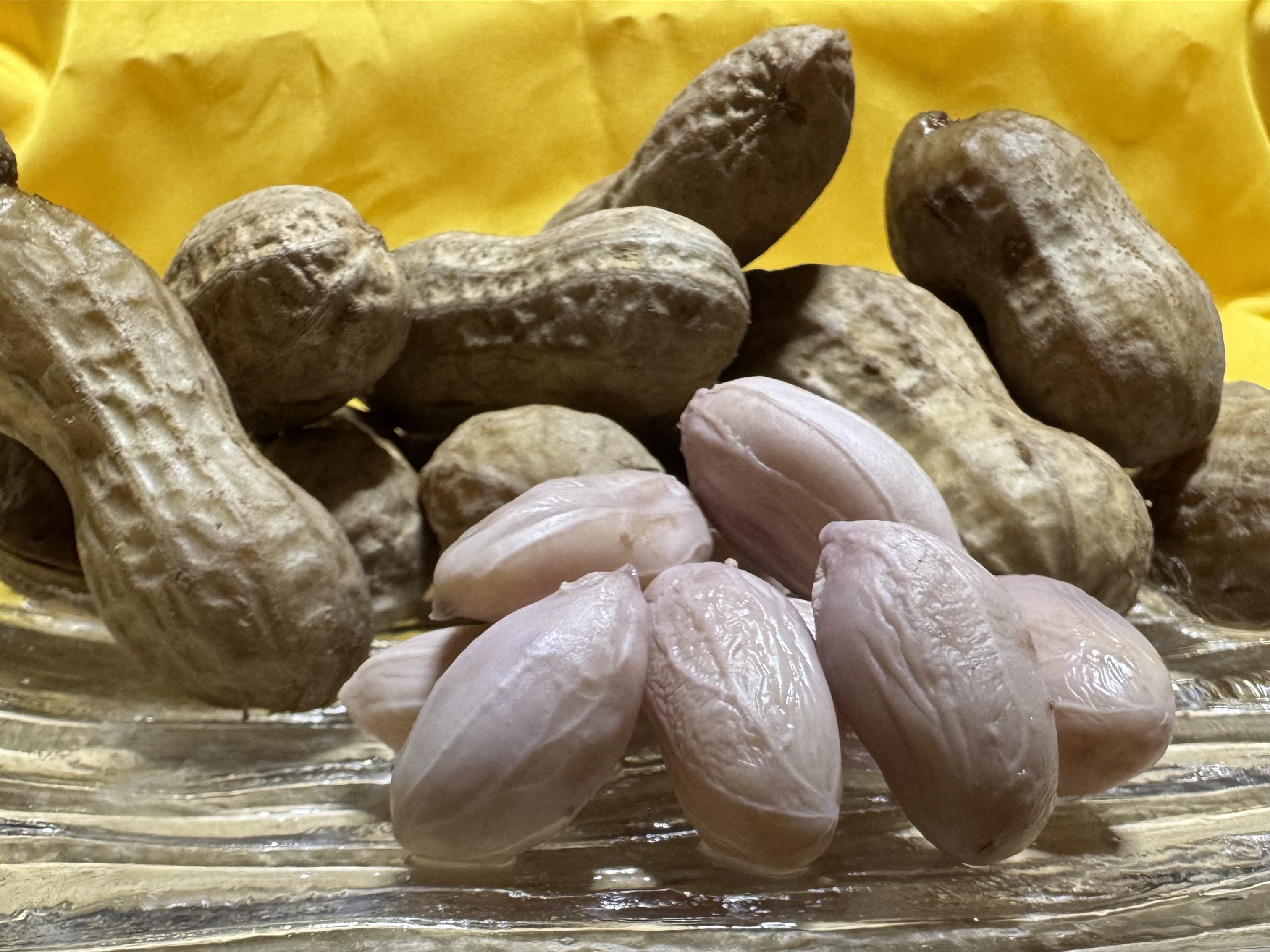 落花生の通販・お取り寄せ商品｜野菜｜ポケットマルシェ｜産地