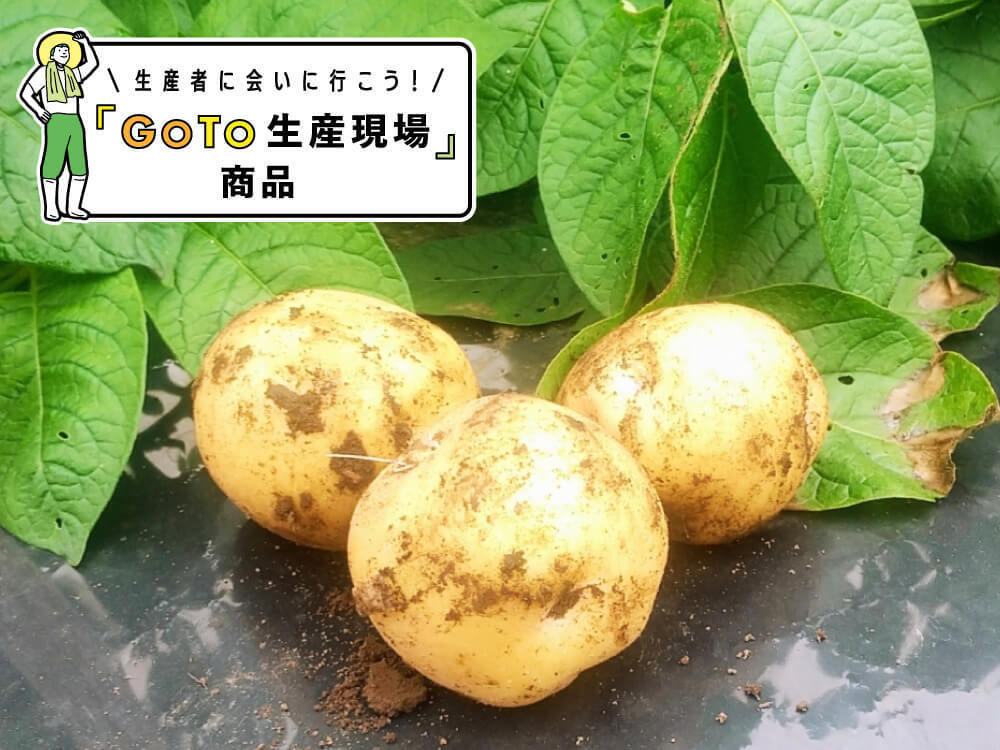 超ポイントアップ祭 新鮮野菜の直売所 ふれあい倉庫 とうべつ特産品詰め合わせ fucoa.cl