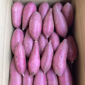 熟成シルクスイート　Sサイズ