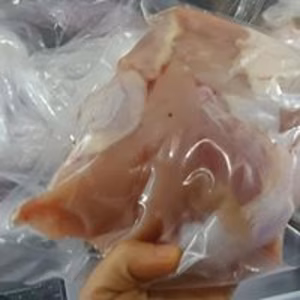 ※冷凍便※コーチンメスの胸肉(180日齢)