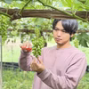 【輝-HIKARI-】ニューピオーネ×シャインマスカット 贈答用人気No.1