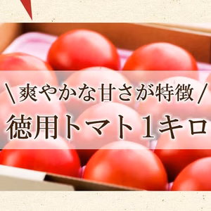 さわやかな甘味が特徴の徳用トマト1kg　宮崎県産