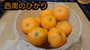 みかん【西南のひかり】