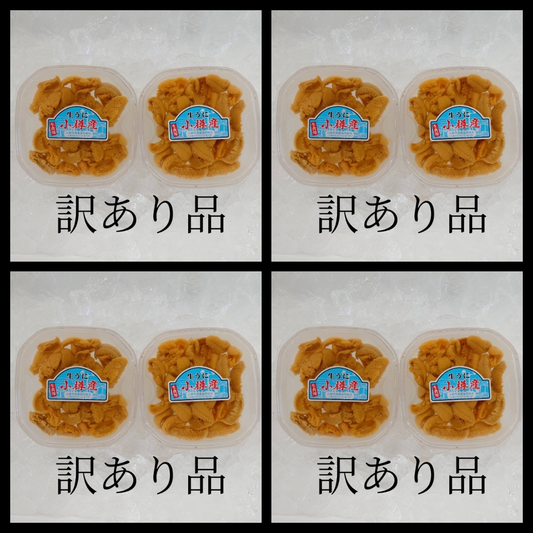 訳あり 小樽産塩水生ウニ ｷﾀﾑﾗｻｷｳﾆ 8 農家漁師から産地直送の通販 ポケットマルシェ