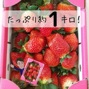 贅沢な時間♡たっぷり【約1kg】イチゴ♡