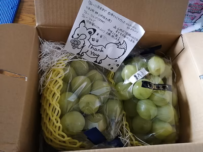 みんなの投稿の画像