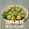 ※（規格外品１kg）大梅(サイズ混合、加工用)　谷奥深産