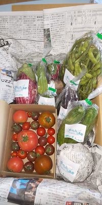 みんなの投稿の画像